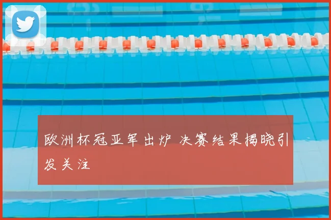 欧洲杯冠亚军出炉 决赛结果揭晓引发关注