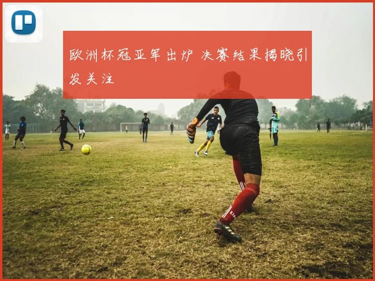 欧洲杯冠亚军出炉 决赛结果揭晓引发关注