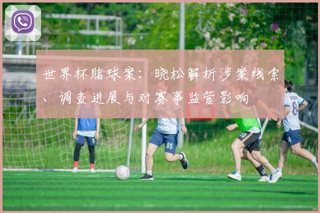 世界杯赌球案：晓松解析涉案线索、调查进展与对赛事监管影响