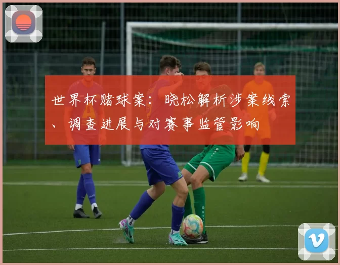 世界杯赌球案：晓松解析涉案线索、调查进展与对赛事监管影响